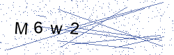 Captcha-Bild mit 4 Zeichen